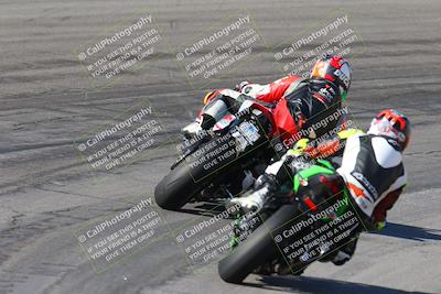 media/Feb-04-2024-SoCal Trackdays (Sun) [[91d6515b1d]]/4-Bowl Backside (11am)/